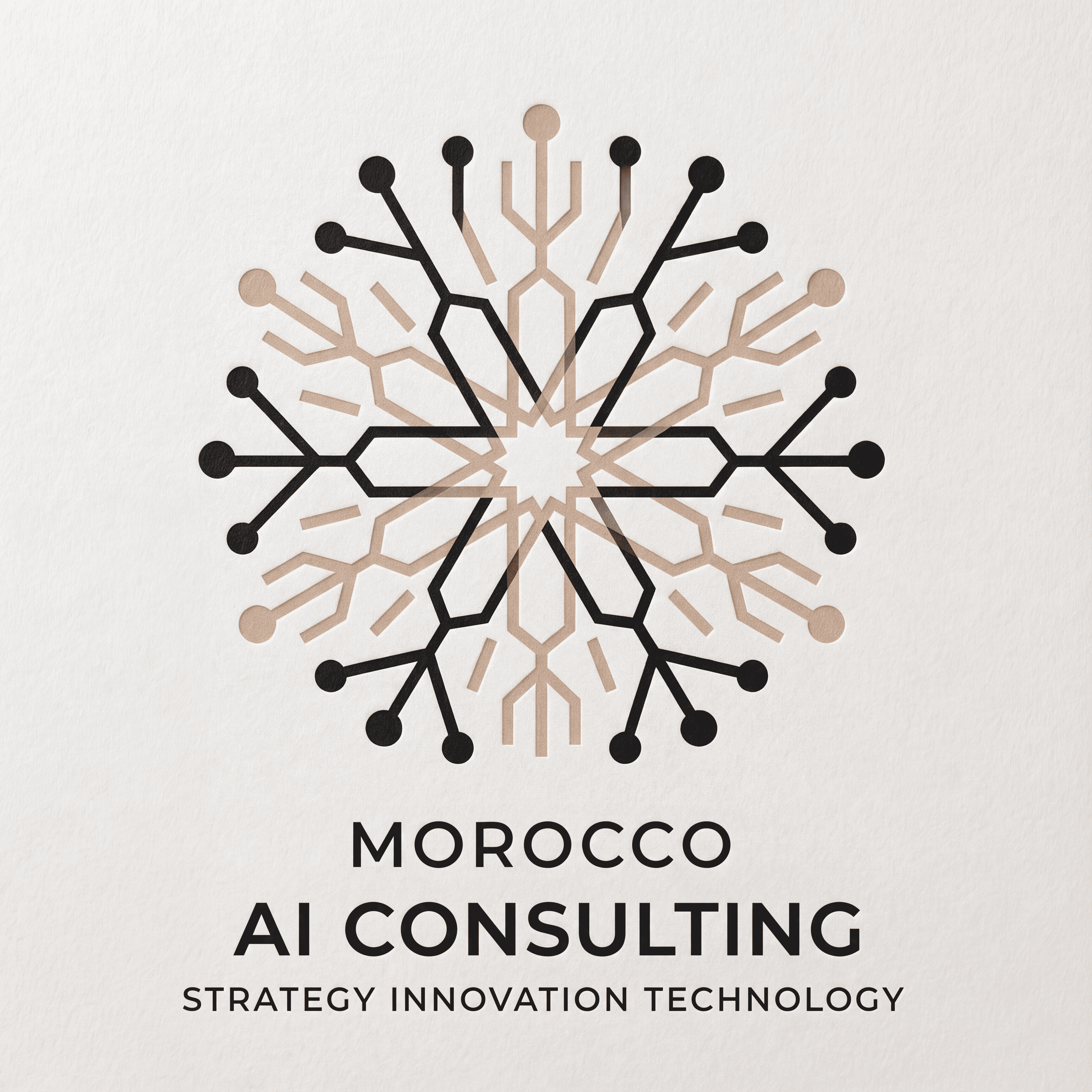 Morocco AI Consulting logo
